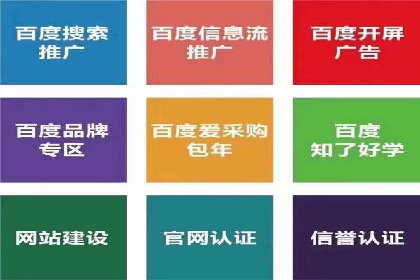 SEM代理服务：助力企业精准营销案例解析